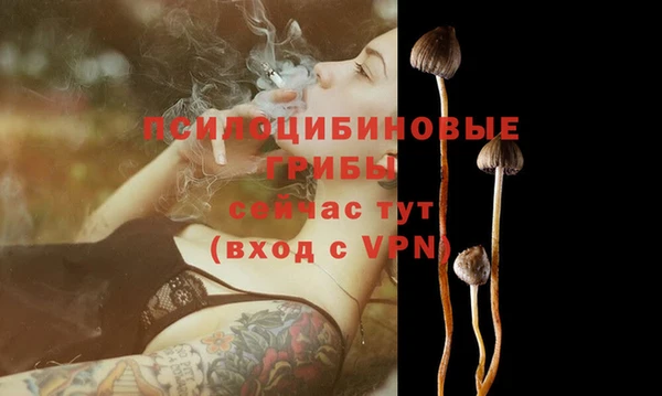 наркотики Заводоуковск