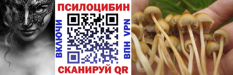 хочу наркоту  Иннополис  Галлюциногенные грибы MAGIC MUSHROOMS 